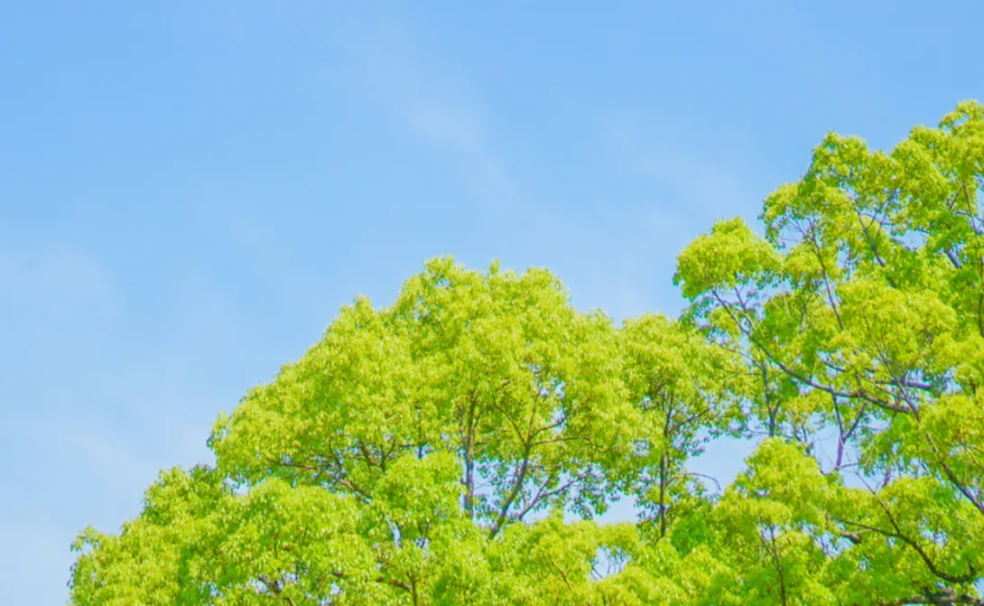 protect the earth