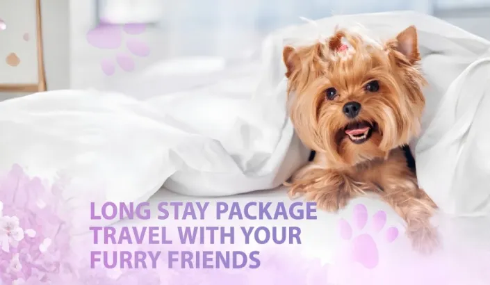 RRH_Long Stay Package Travel with Your Furry Friends_KV